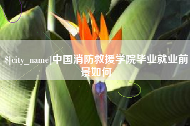 昆明中国消防救援学院毕业就业前景如何