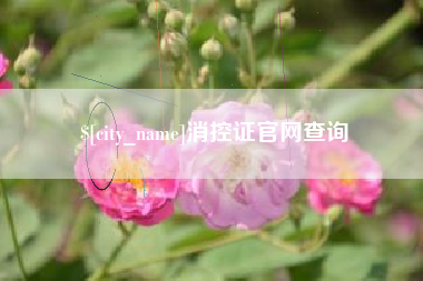 昆明消控证官网查询