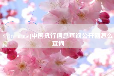 昆明中国执行信息查询公开网怎么查询