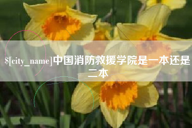 昆明中国消防救援学院是一本还是二本