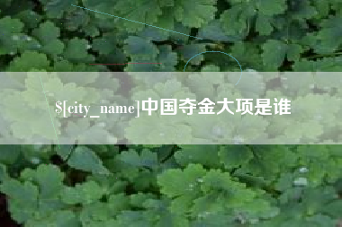 昆明中国夺金大项是谁