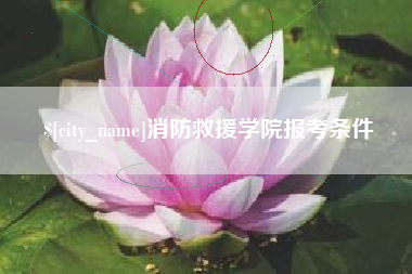 昆明消防救援学院报考条件