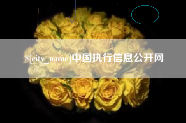 昆明中国执行信息公开网