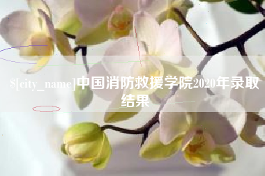 昆明中国消防救援学院2020年录取结果