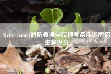 昆明消防救援学院报考条件湖南招生多少分