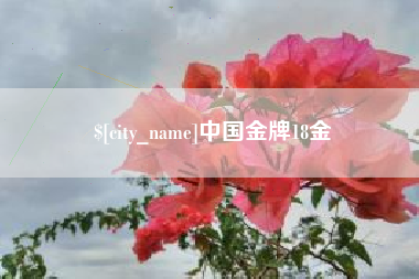 昆明中国金牌18金