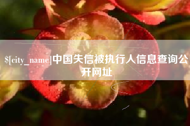 昆明中国失信被执行人信息查询公开网址