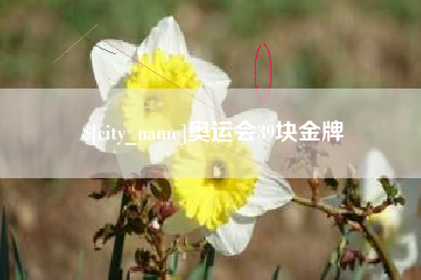 昆明奥运会39块金牌