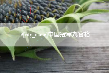 昆明中国冠军九宫格