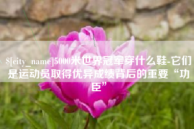 昆明5000米世界冠军穿什么鞋-它们是运动员取得优异成绩背后的重要“功臣”