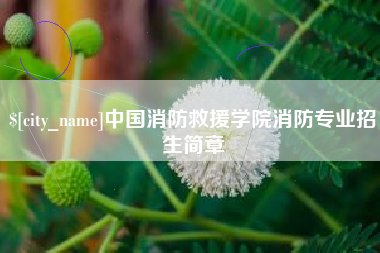 昆明中国消防救援学院消防专业招生简章