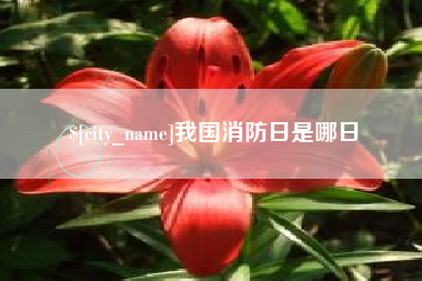 昆明我国消防日是哪日