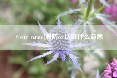 昆明消防ccc认证什么意思