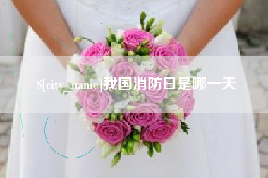 昆明我国消防日是哪一天