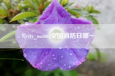 昆明全国消防日哪一