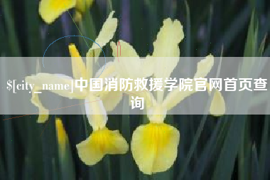 昆明中国消防救援学院官网首页查询