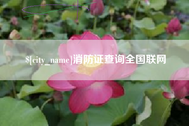 昆明消防证查询全国联网