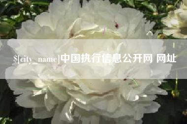昆明中国执行信息公开网 网址