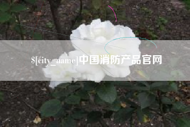昆明中国消防产品官网
