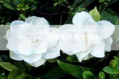 昆明中国的几块金牌2021