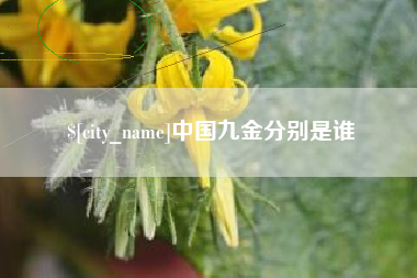 昆明中国九金分别是谁