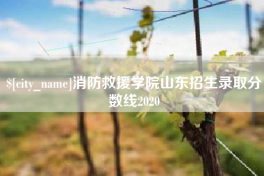 昆明消防救援学院山东招生录取分数线2020