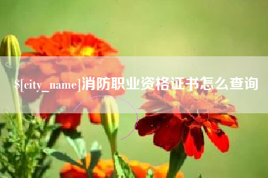 昆明消防职业资格证书怎么查询