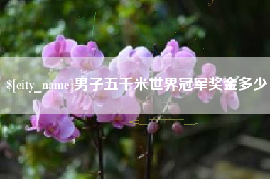 昆明男子五千米世界冠军奖金多少