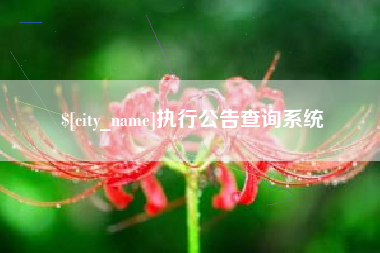昆明执行公告查询系统