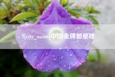 昆明中国金牌都是啥