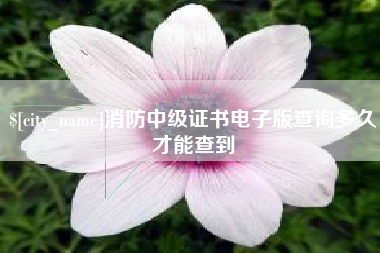 昆明消防中级证书电子版查询多久才能查到