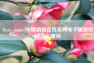 昆明中国消防在线官网电子版消防证怎么查询
