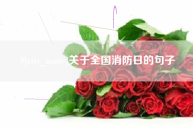 昆明关于全国消防日的句子
