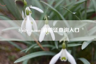 昆明消防证查询入口