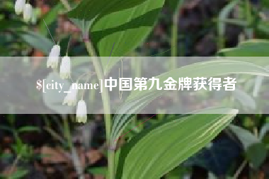 昆明中国第九金牌获得者