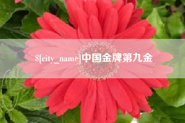 昆明中国金牌第九金