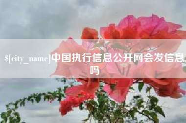 昆明中国执行信息公开网会发信息吗