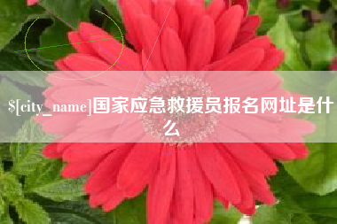 昆明国家应急救援员报名网址是什么