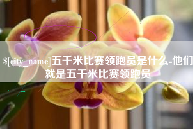 昆明五千米比赛领跑员是什么-他们就是五千米比赛领跑员