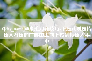 昆明60米接力赛技巧-下压式则是传棒人将棒的前部由上向下传到接棒人手中
