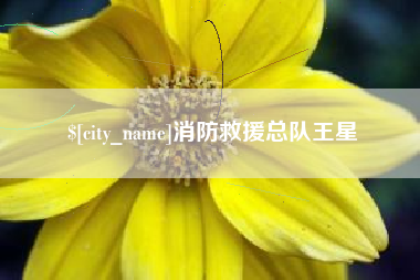 昆明消防救援总队王星