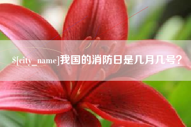昆明我国的消防日是几月几号？