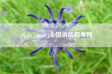 昆明全国消防招考网