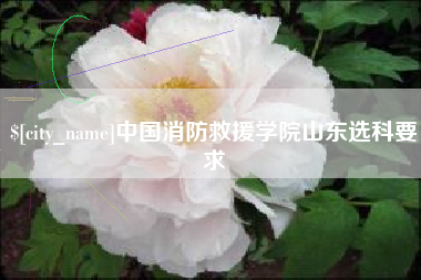昆明中国消防救援学院山东选科要求