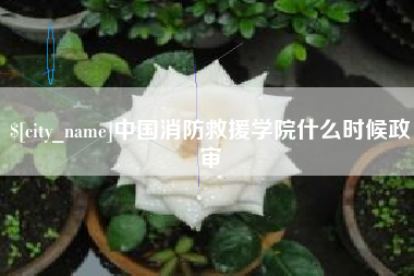 昆明中国消防救援学院什么时候政审