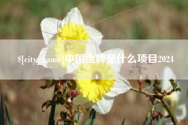 昆明中国金牌是什么项目2024