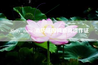 昆明消防证国网查询操作证