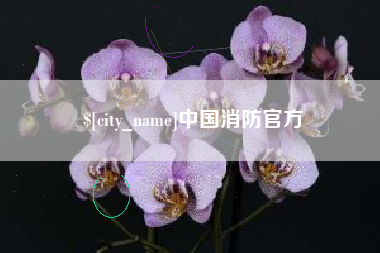 昆明中国消防官方