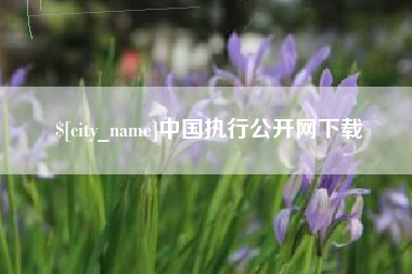 昆明中国执行公开网下载
