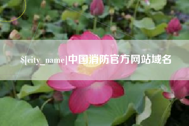 昆明中国消防官方网站域名